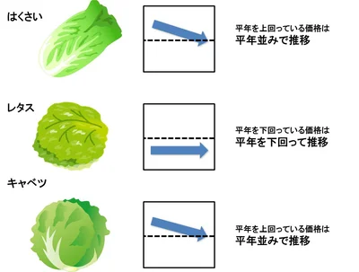 【グラフを見る】9月上旬の野菜の価格動向