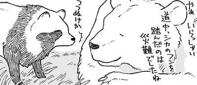 クマにはぜんぶお見通し