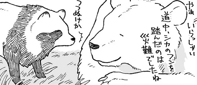 クマにはぜんぶお見通し