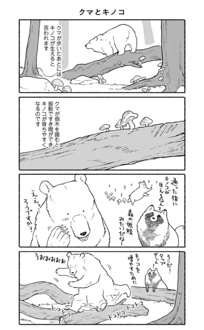 【全画像を見る】クマとキノコの関係性