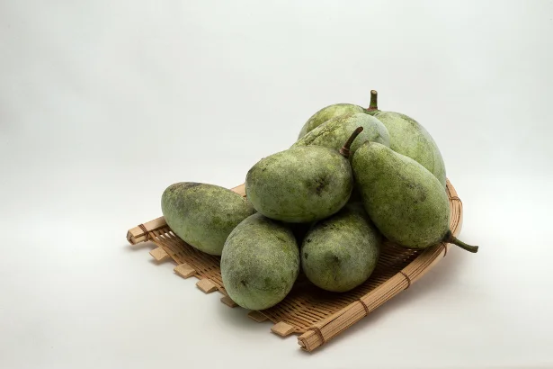 北米原産のフルーツ“ポポー”はどんな味?