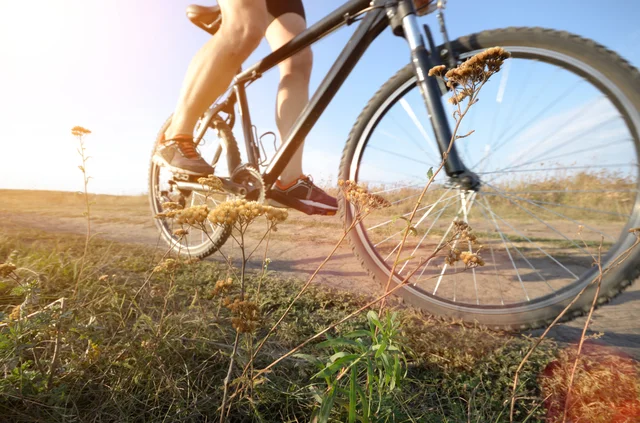 【写真】自転車に乗れば筋トレも可能！