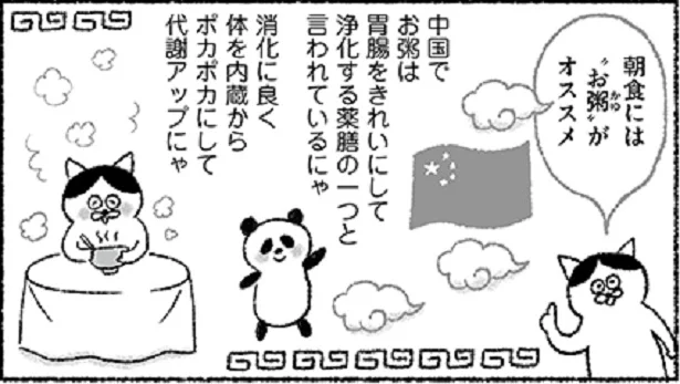 ズボラさんにピッタンコレシピも！お粥で内蔵から代謝アップ！　ねこ先生が教える！ゆるゆる健康法(11)【毎週火・金曜日連載】