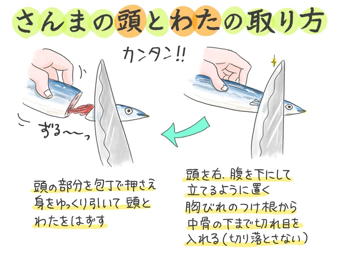 【イラストで見る】カンタン！さんまの 頭とわたの取り方