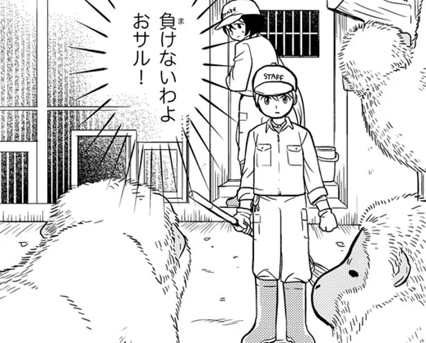 ナメられてたまるものか！ サルVS新人飼育員　動物園で もふもふお世話中！(3)【連載】