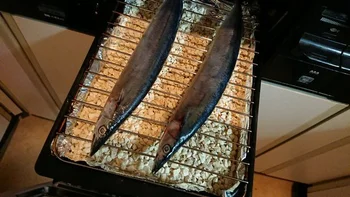 「賢者の石」と呼びたい、魚焼きグリルに敷く神アイテムを試してみた