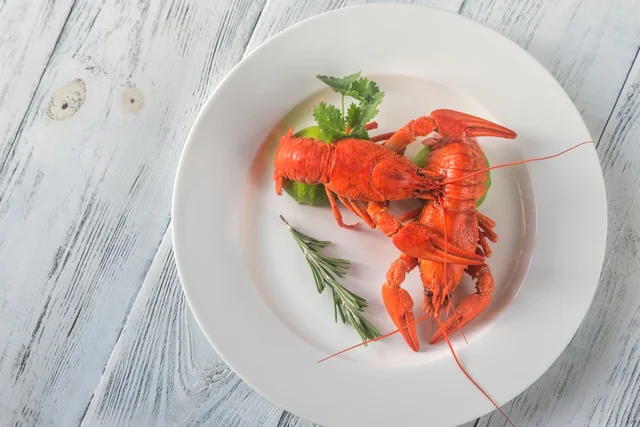 外来種は食べて駆除する？ 斬新すぎる外来種対策が話題！