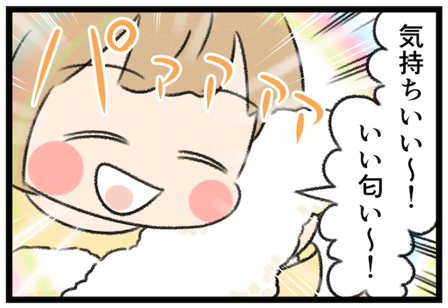 室内干しなのに、何この仕上がり…！いつでも晴れた日感覚の洗たく用洗剤を使ってみた！
