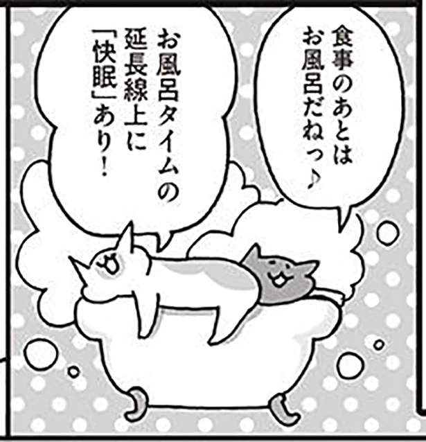 深部体温って？しっかりお風呂に入って睡眠上手になろう　ねこ先生に教わるぐっすり睡眠法(13)【毎週火曜日連載】