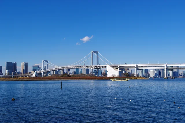 約700種類以上の魚が生息 実は多種多様な魚が生息している 東京湾 レタスクラブ