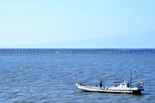 約700種類以上の魚が生息 実は多種多様な魚が生息している 東京湾 レタスクラブ