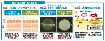 肌がくすんで見える原因