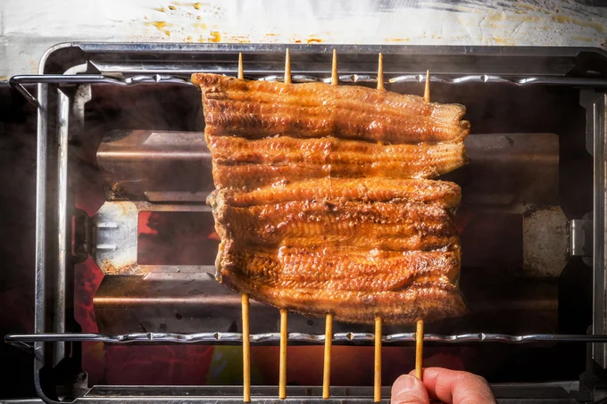 土用丑の日にウナギを食べるのはどうして？