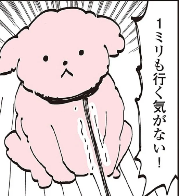 格下相手には1ミリも動かない!