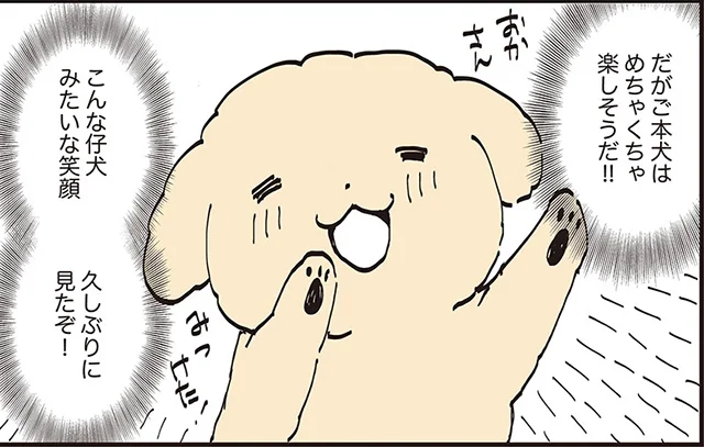 こんな仔犬みたいな笑顔ひさしぶりに見たぞ！！　うちのトイプーがアイドルすぎる。2（9）