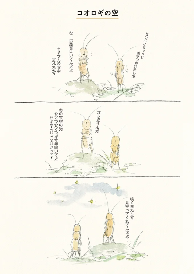 ひと夏の終わり セミファイナル ゆるふわ昆虫図鑑 ボクらはゆるく生きている 3 連載 画像5 7 レタスクラブ ひと夏の終わり セミファイナル ゆるふわ昆虫図鑑 ボクらはゆるく生きている 3 連載 画像5 7 レタスクラブ