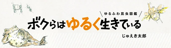 【全画像を見る】『ゆるふわ昆虫図鑑 ボクらはゆるく生きている』