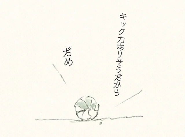ボールの叫び。「思いっきり蹴らないで！」　ゆるふわ昆虫図鑑 ボクらはゆるく生きている（5）【連載】