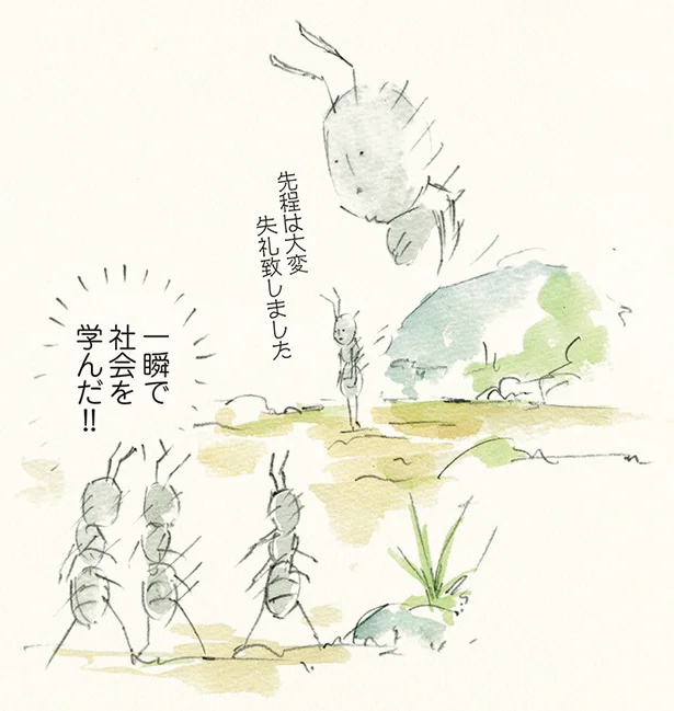 がんばれ新入り！ 働きアリの社会も厳しい！　ゆるふわ昆虫図鑑 ボクらはゆるく生きている（6）【連載】