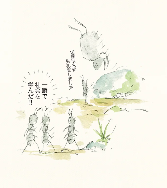 がんばれ新入り 働きアリの社会も厳しい ゆるふわ昆虫図鑑 ボクらはゆるく生きている 6 連載 レタスクラブ
