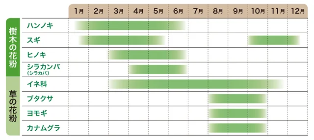 花粉症の原因になる主な植物と花粉の飛散時期