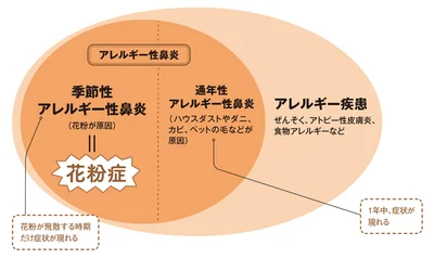 「花粉症」と「アレルギー性鼻炎」の違い