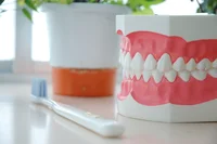 日本人が歯を失う理由第1位！「歯周病」の治療に保険適用の新薬が登場