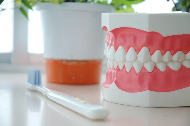 歯周病は日本人の「歯を失う理由」第1位！ その原因は？