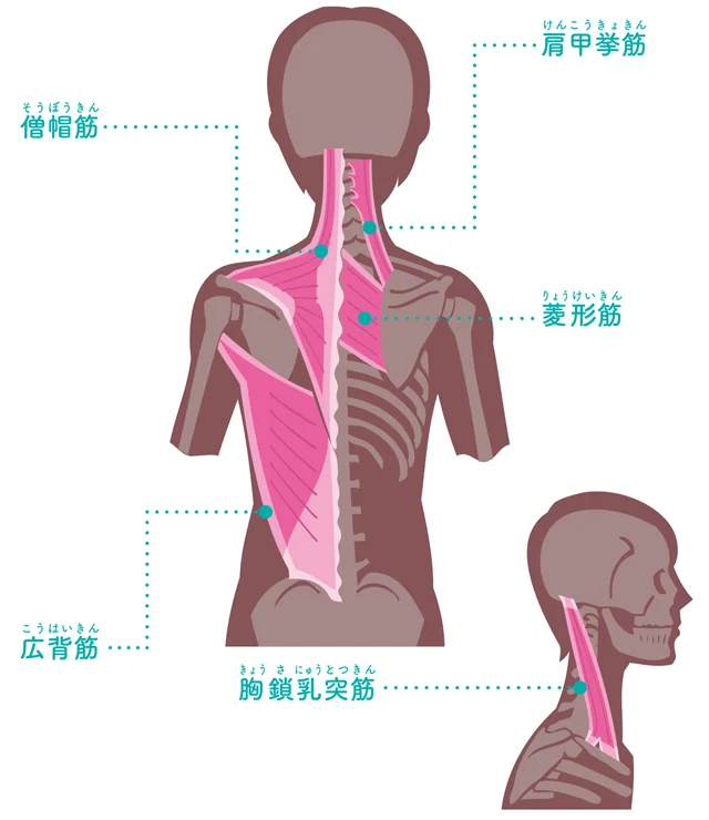 押したりもんだり はng ストレッチで首こりや顔の歪みを解消しよう レタスクラブ