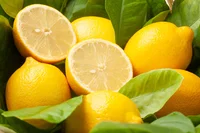 半分残ったレモンはコップを使えば瑞々しく保存できる！ 食材をムダにしない簡単な裏技