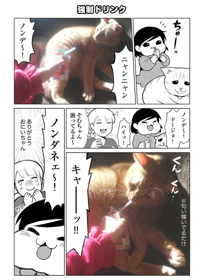 かわいい かわいい かわいいいいいいい タレ目猫そむ 3 連載 レタスクラブ