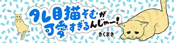 【画像を見る】タレ目猫そむが可愛すぎるんじゃ～！