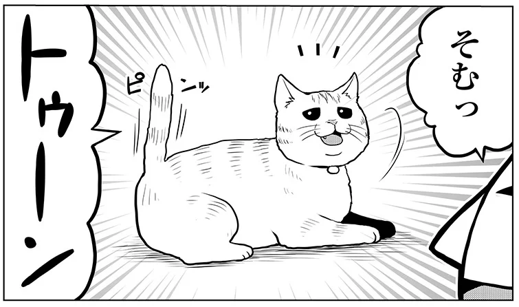 トゥーン そむちゃん今日も元気に起動 タレ目猫そむ 5 連載 レタスクラブ