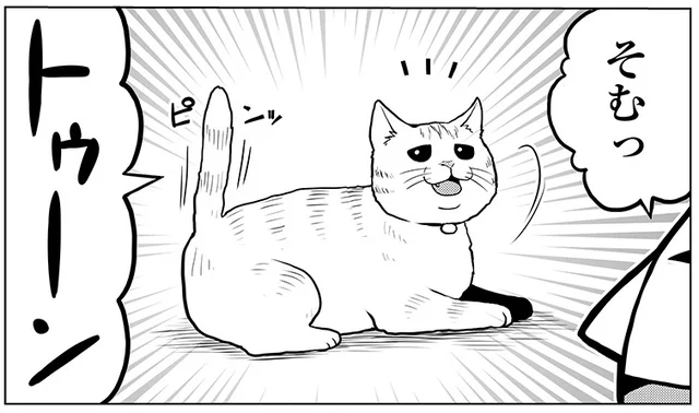 「トゥーン！」そむちゃん今日も元気に起動！　タレ目猫そむ（5）【連載】