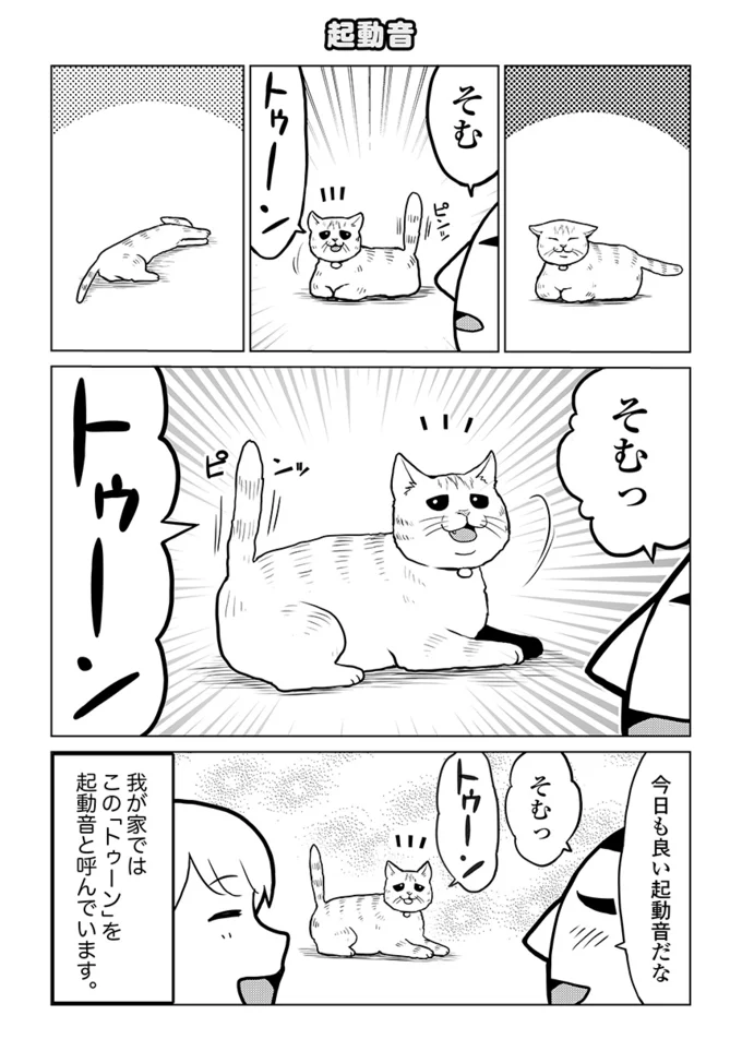 トゥーン そむちゃん今日も元気に起動 タレ目猫そむ 5 連載 レタスクラブ