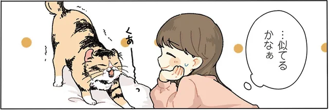 ぴあさんと私は似てる…かな？　ぴゅあとぴあ（5）【連載】