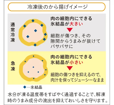 急速冷凍はなぜおいしいの？