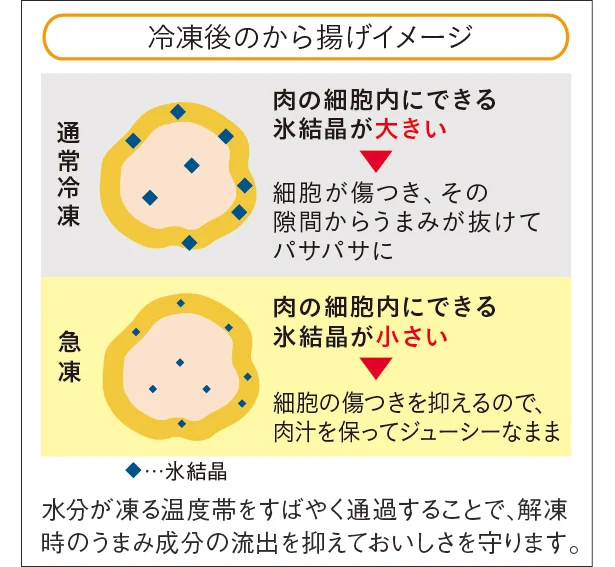 急速冷凍はなぜおいしいの？