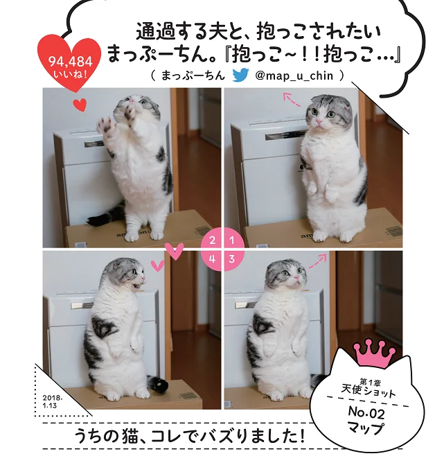 「通過する夫と、抱っこされないまっぷーちん」SNSでバズったスター猫満載！バズにゃん(1)【連載】