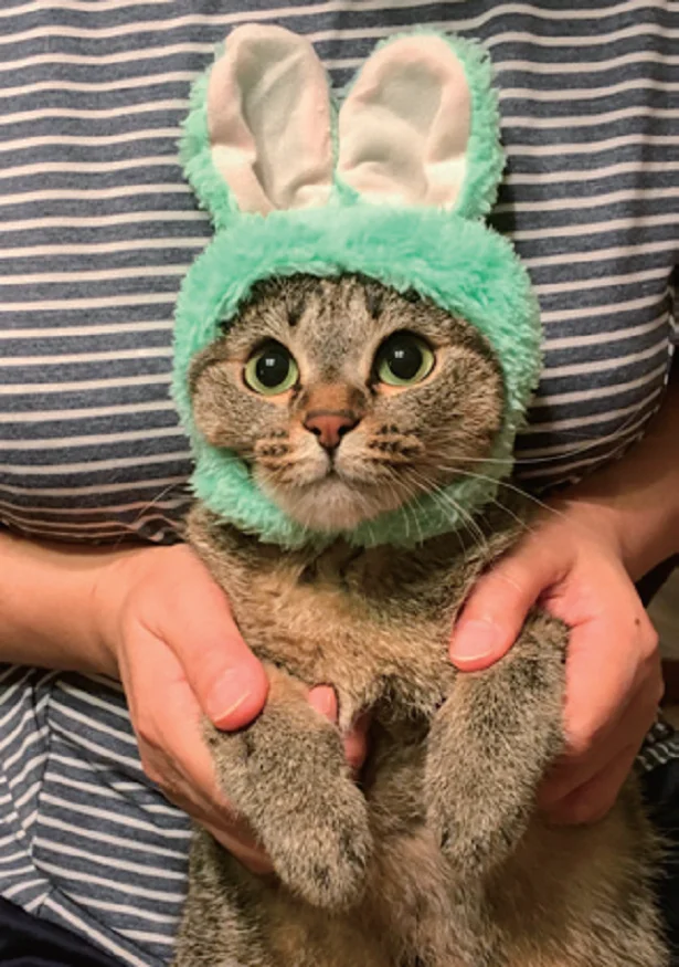 【画像】かぶりものも似合う♪可愛すぎる神ショット!
