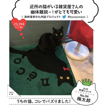 お笑いコンビ、ザ・たっち の幽体離脱ネタを彷彿とさ せる文具雑貨店の看板猫うめさん♪