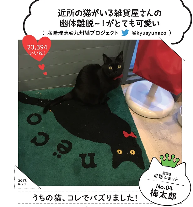 「幽体離脱！思わず2度見する偶然の一発ギャグ」SNSでバズったスター猫満載！バズにゃん(3)【連載】