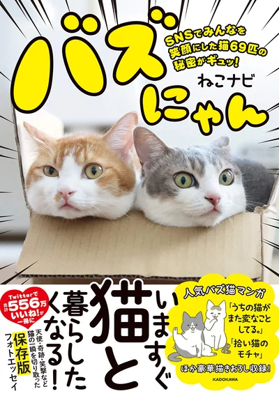  出典：バズにゃん SNSでみんなを笑顔にした猫69匹の秘密がギュッ!（ねこナビ著）