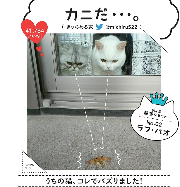 「カニだ・・・｡」SNSでバズったスター猫満載！バズにゃん(4)【連載】