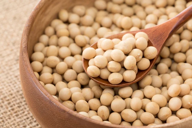 【写真】大豆で作った「大豆ミート」は低脂質＆コレステロールフリー