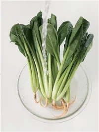 「冷凍」の達人に教わる生野菜の冷凍保存◆みんなの冷凍作りおき【連載】（3）