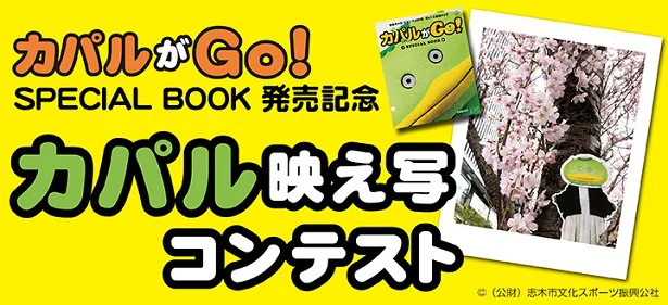 『レタスクラブ』4月号（3月25日発売）号付録「カパルがGo！SPECIAL BOOK」発売記念　カパル着せかえ“映え写”コンテスト開催！