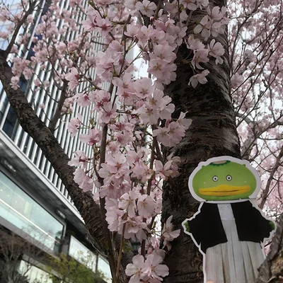 今の時期にぴったり！ 桜とカパル