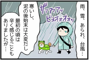 どんな悪天気でも絶対に犬は散歩に連れて行くの？ 柴犬歴20年の漫画家が回答