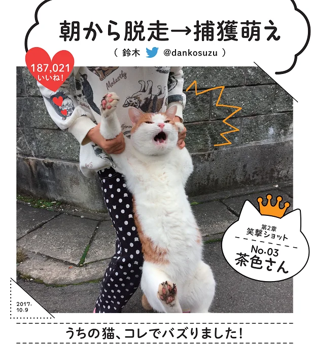 「朝から脱走→捕獲萌え」SNSでバズったスター猫満載！バズにゃん(8)【連載】